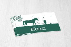 Jongen met paard Jongen met paard